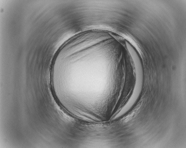 X0000086930999200705071348