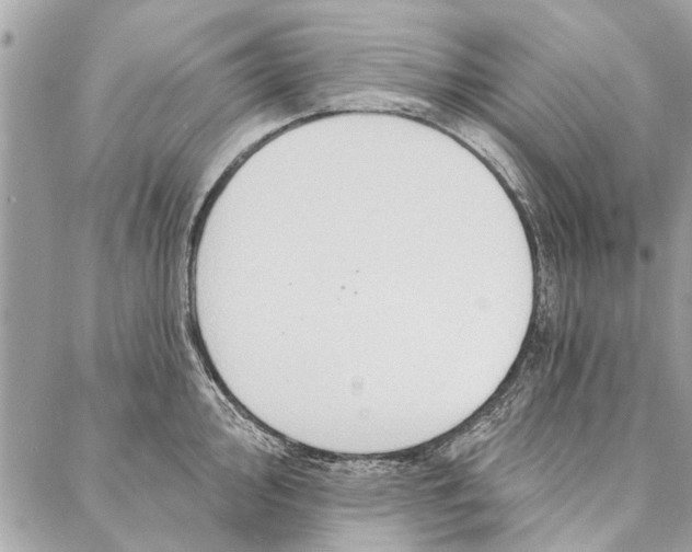 X0000086931000200705071348