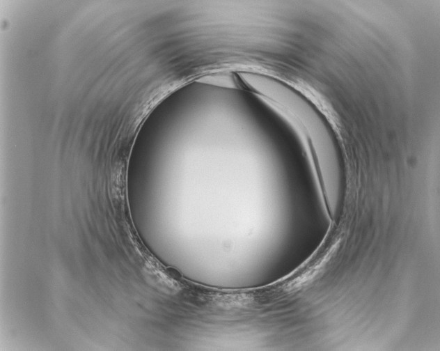 X0000086931001200705071348