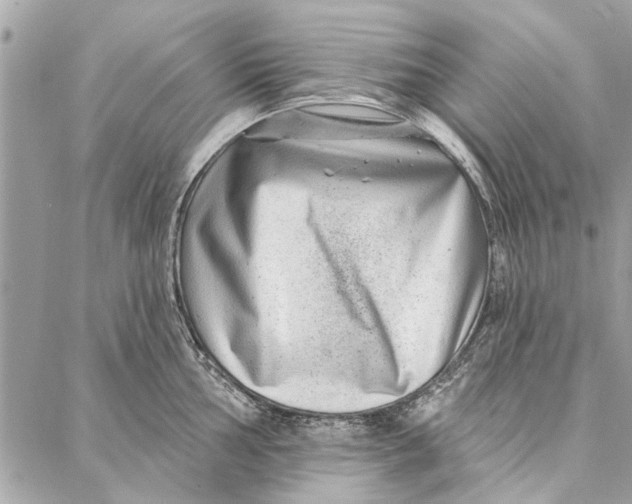 X0000086931002200705071348