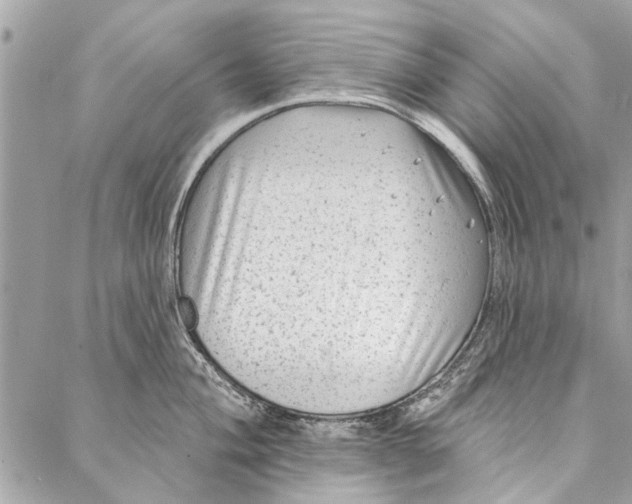 X0000086931004200705071348