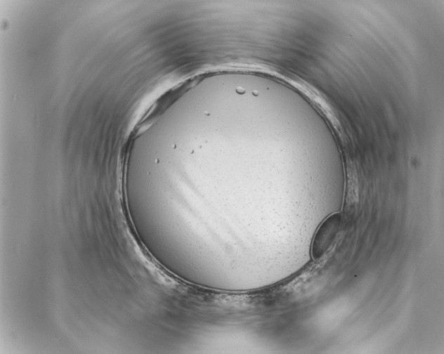 X0000086931006200705071348