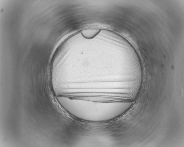 X0000086931008200705071348