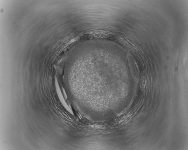 X0000086931010200705071347