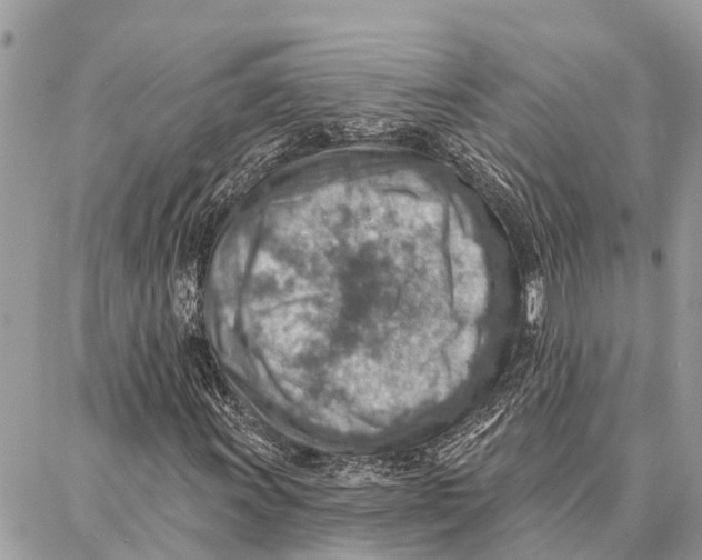 X0000086931011200705071347