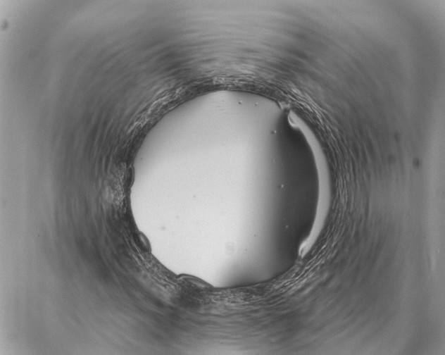 X0000086931012200705071347