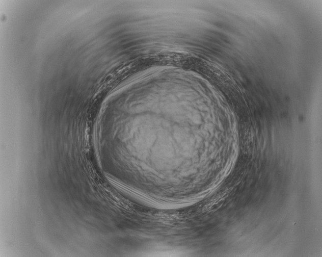 X0000086931013200705071347