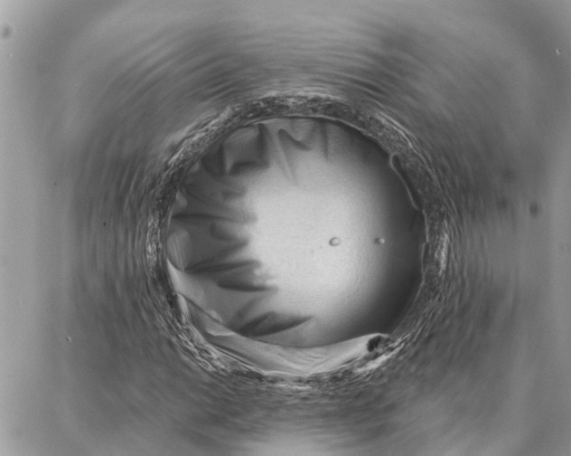 X0000086931014200705071347