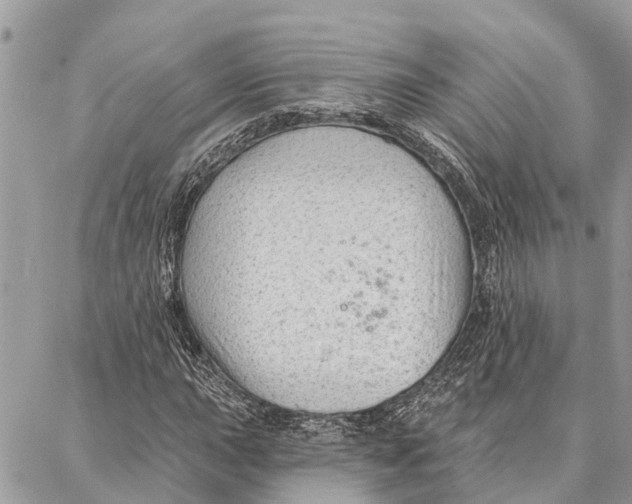 X0000086931015200705071348