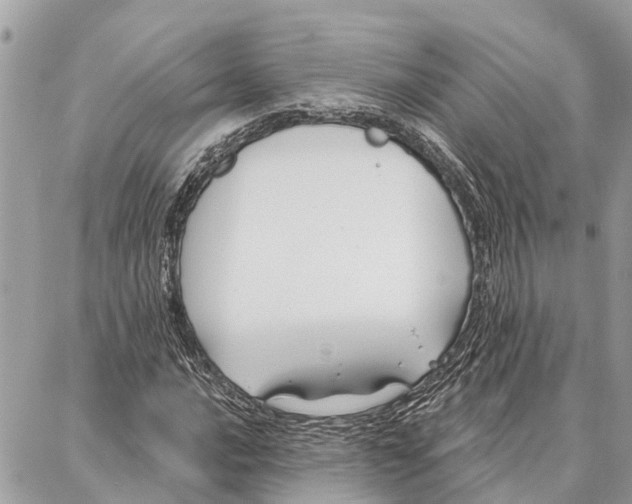 X0000086931016200705071348