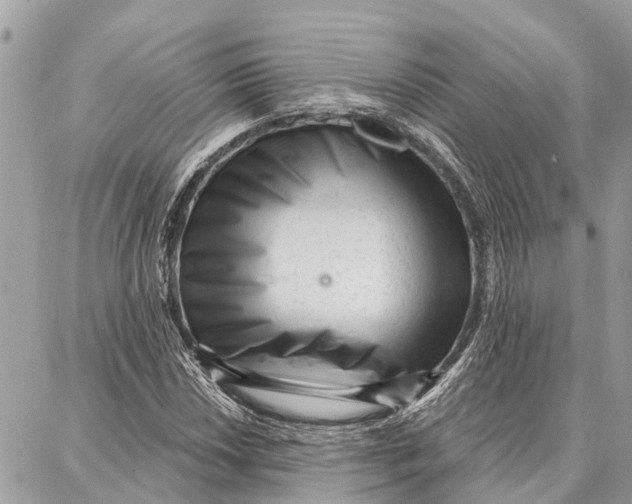 X0000086931018200705071348