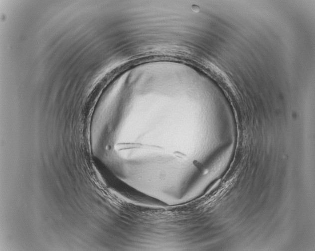 X0000086931019200705071348