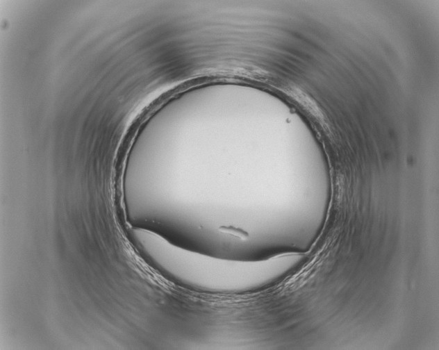 X0000086931020200705071348