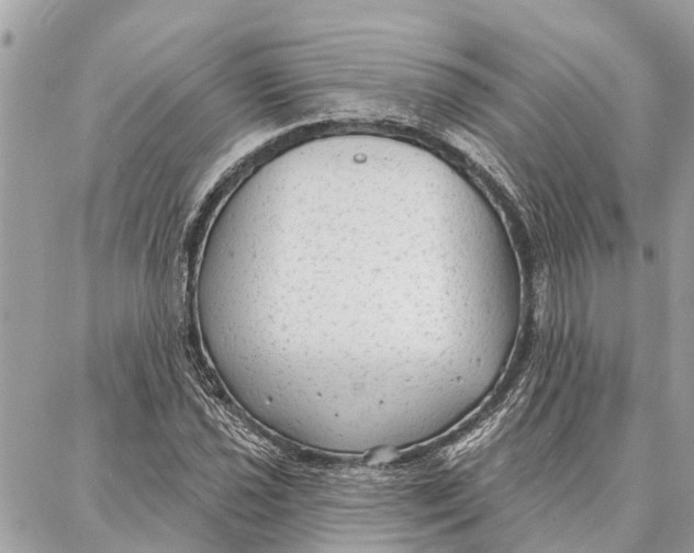 X0000086931021200705071348