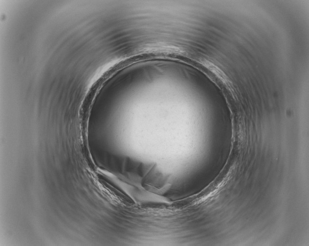 X0000086931022200705071348