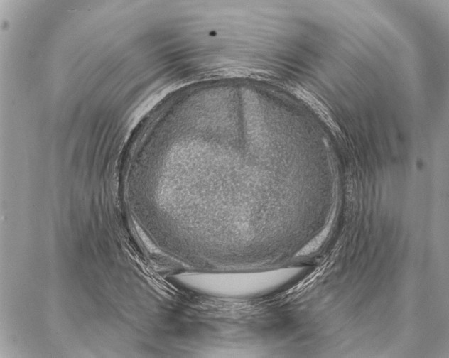 X0000086931023200705071348