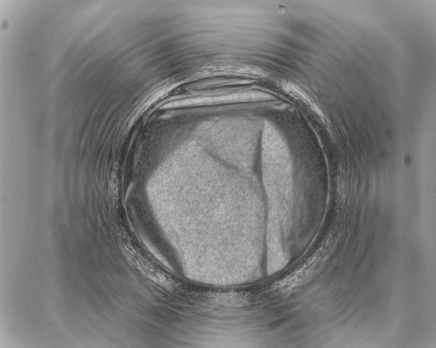 X0000086931025200705071348