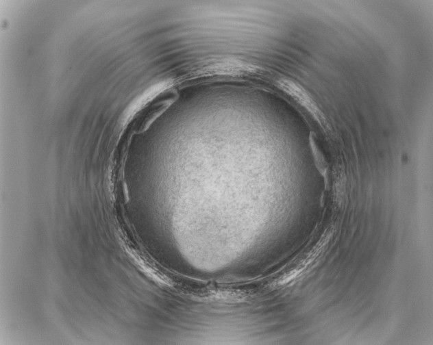 X0000086931026200705071348