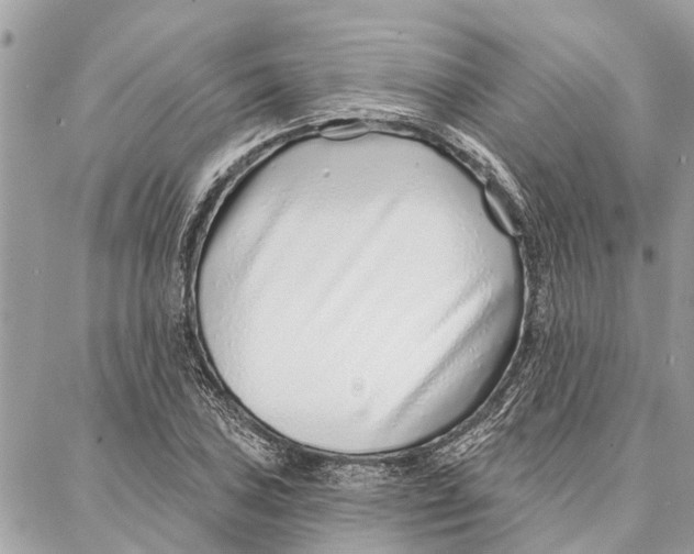 X0000086931027200705071348