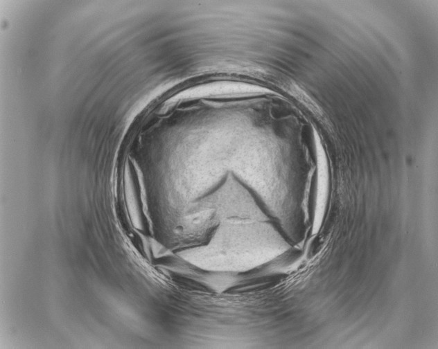 X0000086931028200705071348