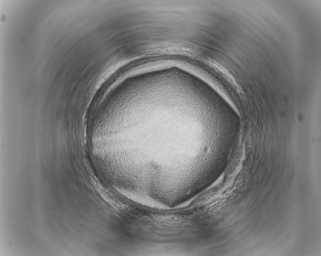 X0000086931031200705071348