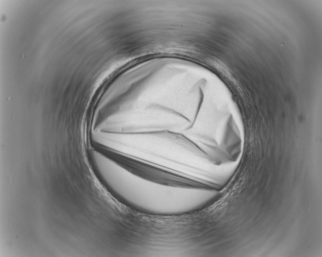 X0000086931032200705071348