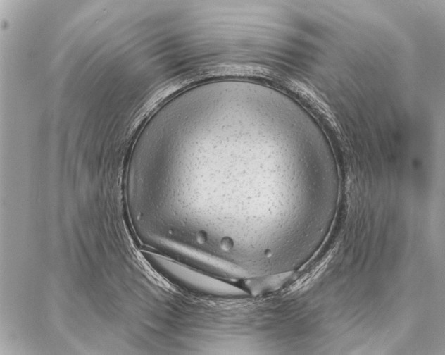 X0000086931033200705071348