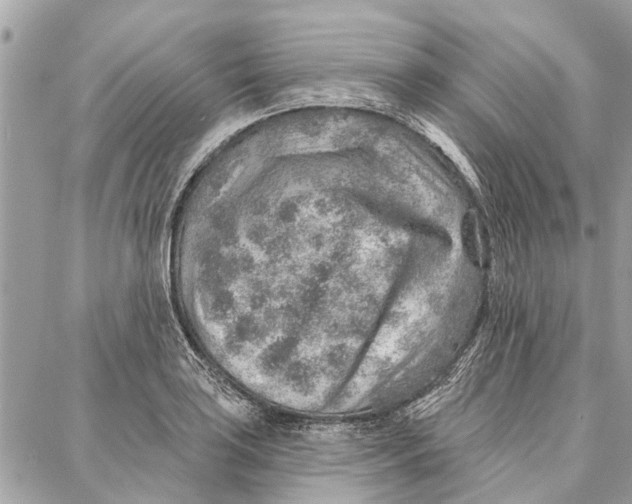 X0000086931035200705071348