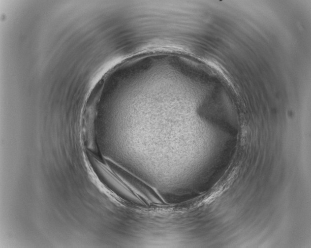 X0000086931038200705071348