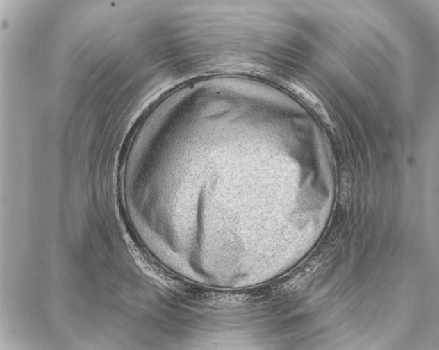 X0000086931039200705071348