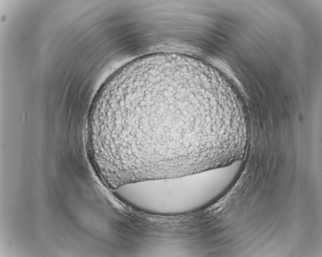 X0000086931040200705071348