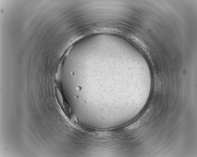 X0000086931041200705071348