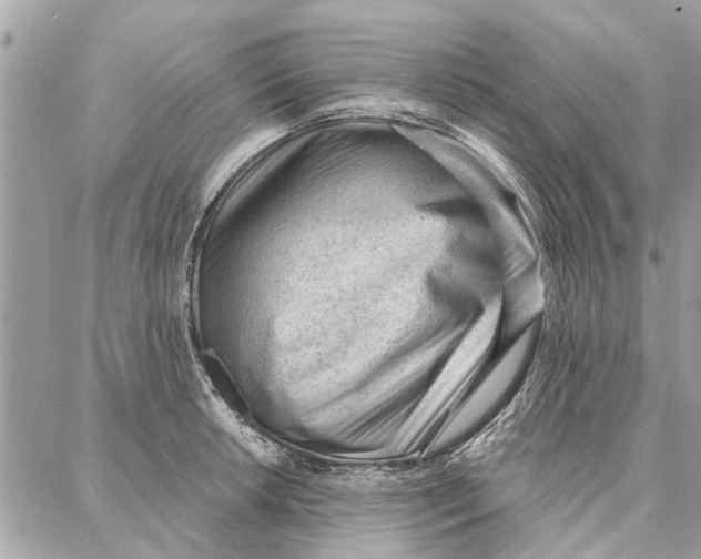 X0000086931042200705071348