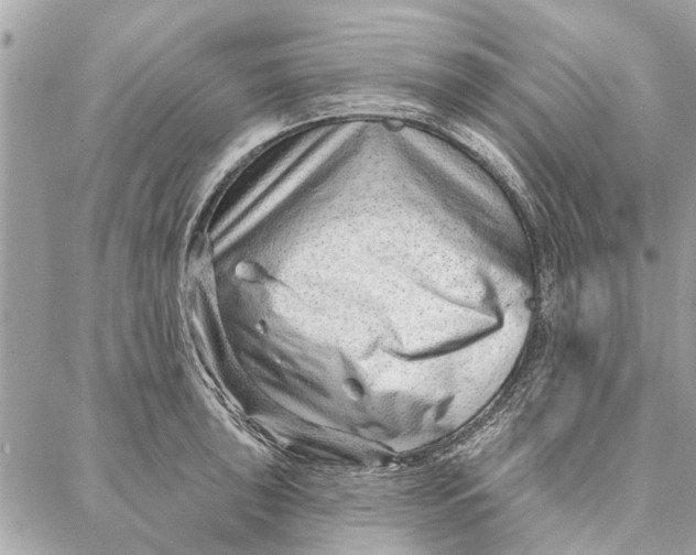 X0000086931043200705071348