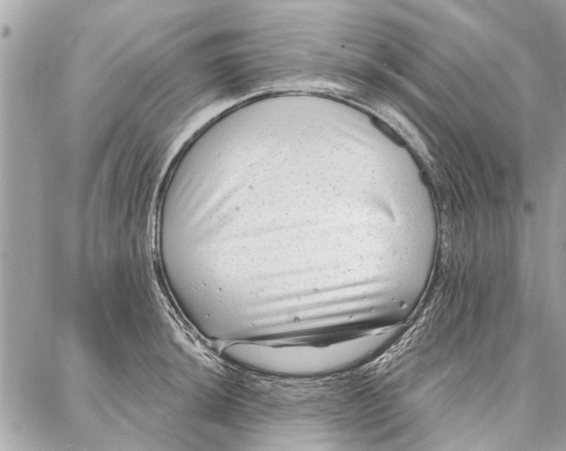 X0000086931044200705071348