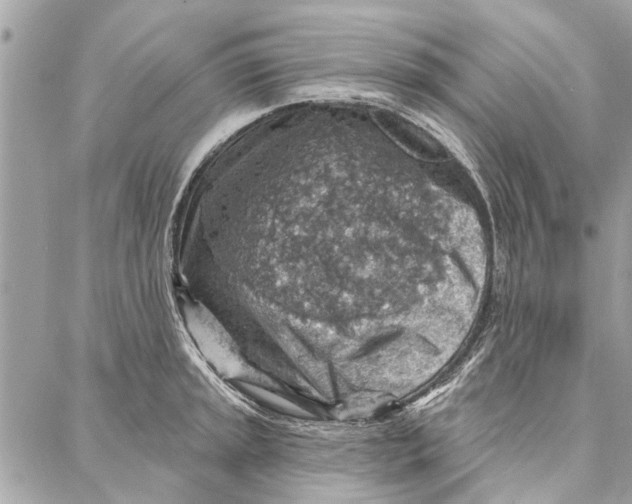 X0000086931045200705071348