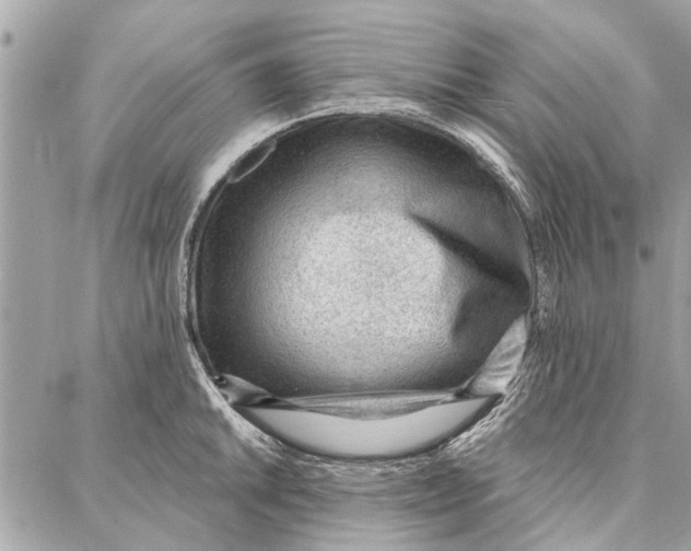 X0000086931046200705071348