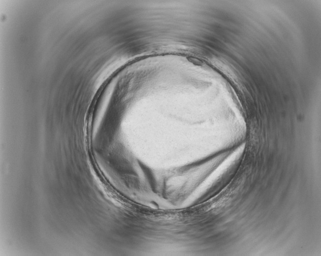 X0000086931047200705071348