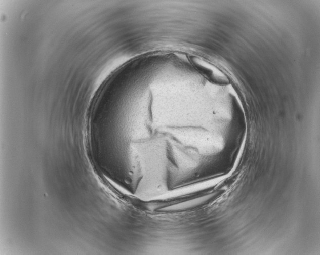 X0000086931048200705071348