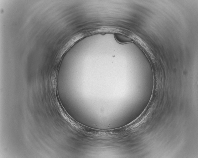 X0000086931049200705071348