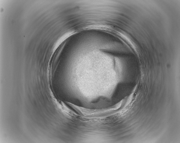 X0000086931050200705071348