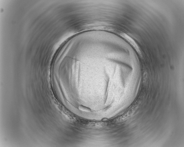 X0000086931051200705071348