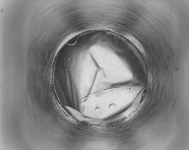 X0000086931052200705071348