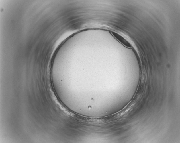 X0000086931053200705071348