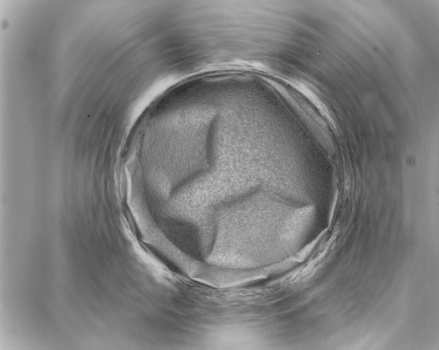 X0000086931054200705071348