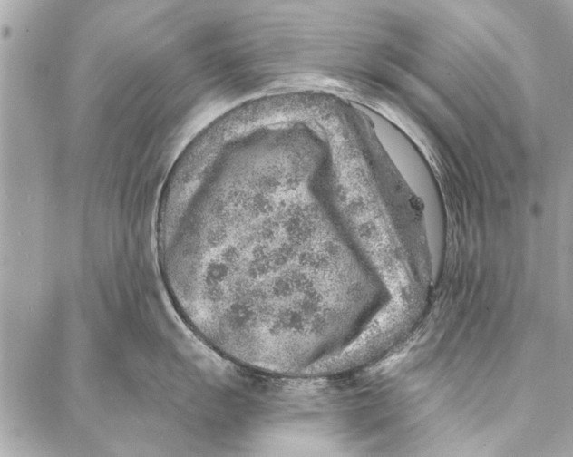 X0000086931055200705071348