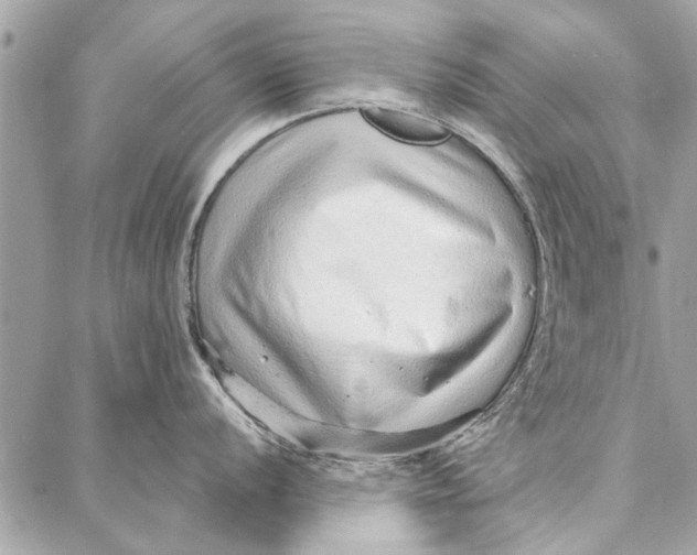 X0000086931056200705071348