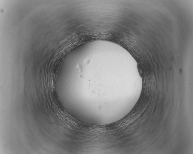 X0000086931058200705071347