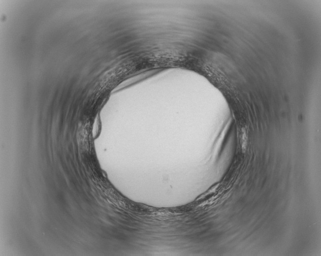 X0000086931059200705071347