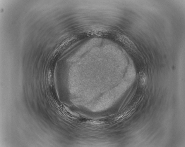 X0000086931060200705071347